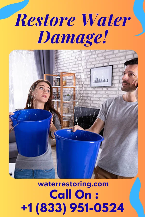 water restoration Ultimate Water Cleanup Masters Geyser